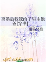 离婚后我嫁给了男主他爸小说