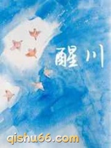 醒川小说