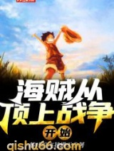 海贼从顶上战争开始小说