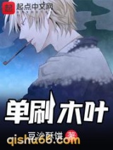 单刷木叶小说