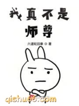 我真不是师尊小说