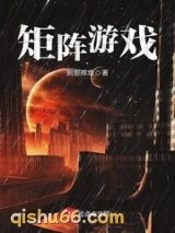 矩阵游戏小说