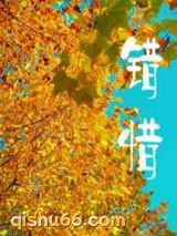 错惜小说