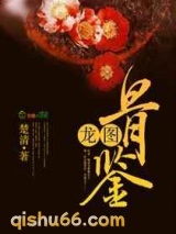 龙图骨鉴小说