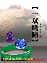 一双鹰瞳小说