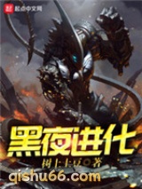 黑夜进化小说