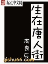 生在唐人街小说