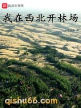 我在西北开林场小说