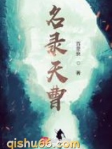 名录天曹小说