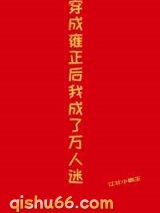 穿成雍正后我成了万人迷小说