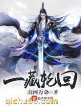 一藏轮回小说