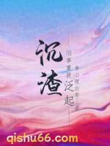 沉渣泛起小说