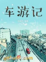 车游记小说
