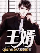 王婿小说