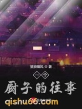 一个厨子的往事小说