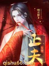 正夫小说