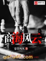 商海风云小说