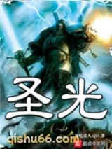 圣光小说