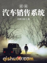 超级汽车销售系统小说