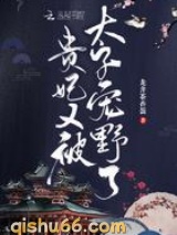 贵妃又被太子宠野了小说
