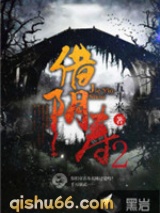借阴寿2小说