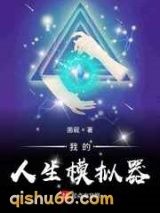 我的人生模拟器小说