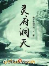 灵府洞天小说