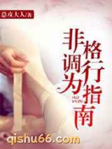非格调行为指南小说