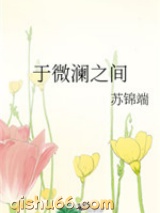 于微澜之间小说