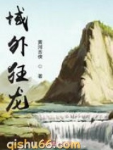 域外狂龙小说
