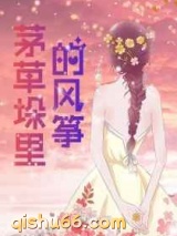 茅草垛里的风筝小说