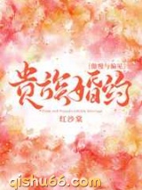 贵族婚约小说