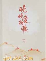 晚晚竞折腰小说