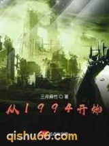 从1994开始小说