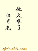 白月光她太难了小说