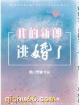 我的新郎逃婚了小说