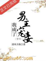 宠妾为后小说