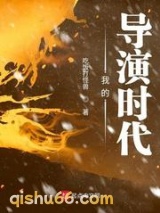 我的导演时代小说