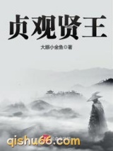 贞观贤王小说