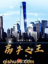 房产之王小说