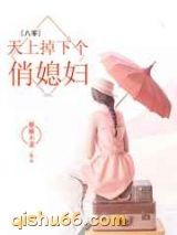 天上掉下个俏媳妇小说