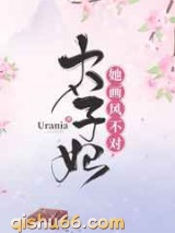太子妃她画风不对小说