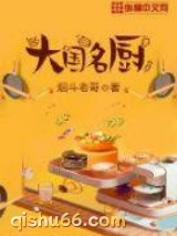 大国名厨小说