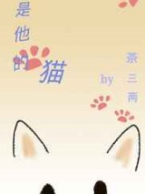 曾是他的猫小说