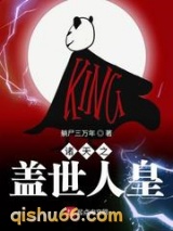 诸天之盖世人皇小说