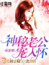 一夜蜜婚：神秘老公宠入怀小说