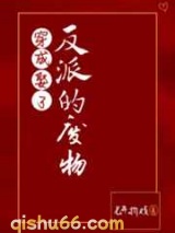 穿成娶了反派的废物GL小说