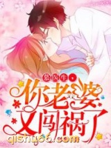 慕医生，你老婆又闯祸了小说