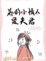 养的小情人是夫君小说