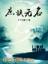 庶族无名小说